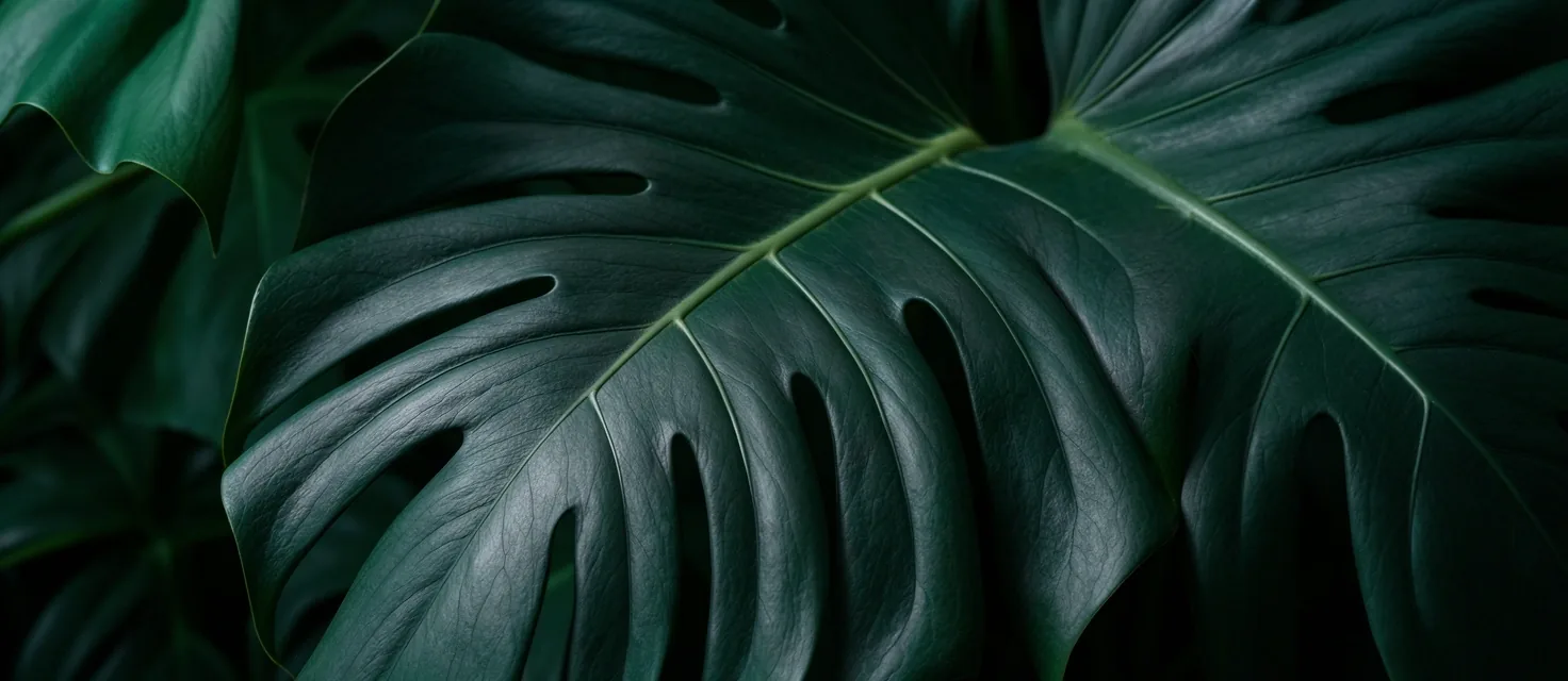 Background texture